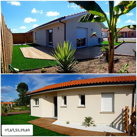 Maison Neuve 66M2 بيسكاروس المظهر الخارجي الصورة